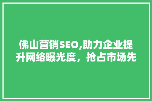 佛山营销SEO,助力企业提升网络曝光度，抢占市场先机 SEO关键词