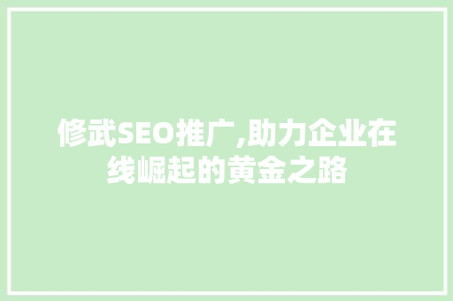 修武SEO推广,助力企业在线崛起的黄金之路 网站建设公司