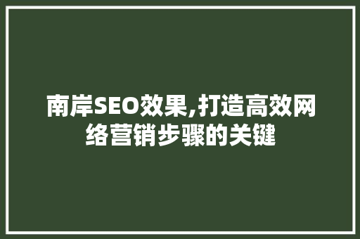 南岸SEO效果,打造高效网络营销步骤的关键 百度SEO