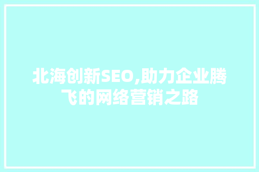北海创新SEO,助力企业腾飞的网络营销之路 必应SEO