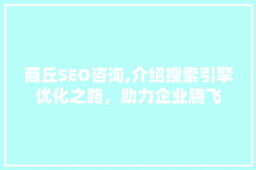商丘SEO咨询,介绍搜索引擎优化之路，助力企业腾飞 神马SEO
