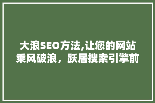 大浪SEO方法,让您的网站乘风破浪，跃居搜索引擎前列 SEO关键词