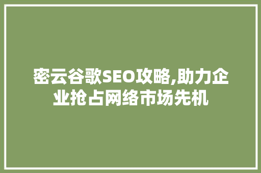 密云谷歌SEO攻略,助力企业抢占网络市场先机 百度SEO