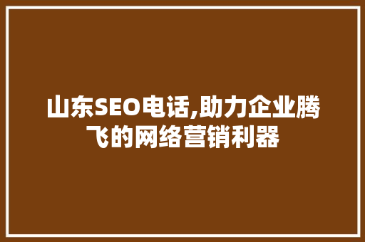 山东SEO电话,助力企业腾飞的网络营销利器