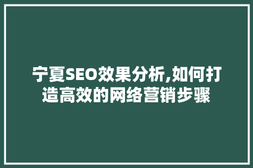 宁夏SEO效果分析,如何打造高效的网络营销步骤
