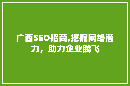 广西SEO招商,挖掘网络潜力，助力企业腾飞 必应SEO