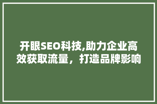 开眼SEO科技,助力企业高效获取流量，打造品牌影响力 SEO关键词