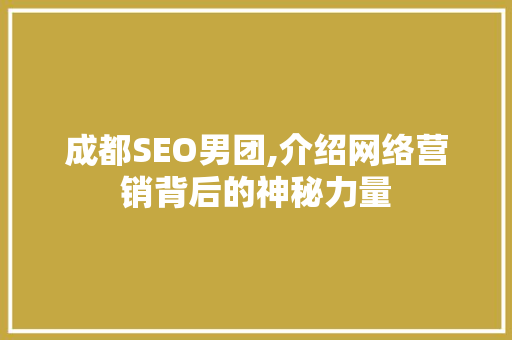 成都SEO男团,介绍网络营销背后的神秘力量 必应SEO