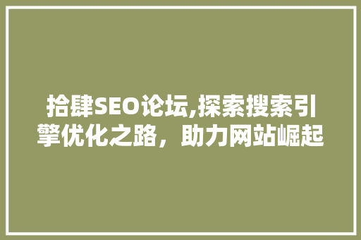 拾肆SEO论坛,探索搜索引擎优化之路，助力网站崛起 SEO关键词