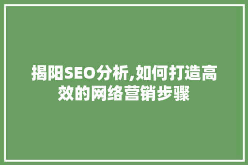 揭阳SEO分析,如何打造高效的网络营销步骤 网站建设公司
