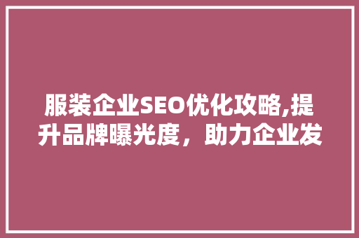 服装企业SEO优化攻略,提升品牌曝光度，助力企业发展 SEO关键词