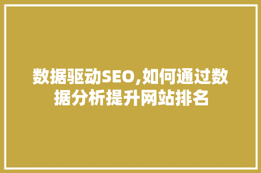数据驱动SEO,如何通过数据分析提升网站排名 神马SEO