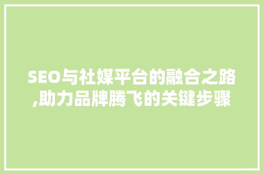 SEO与社媒平台的融合之路,助力品牌腾飞的关键步骤