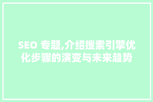 SEO 专题,介绍搜索引擎优化步骤的演变与未来趋势 百度SEO