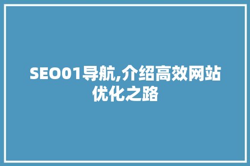 SEO01导航,介绍高效网站优化之路 网站建设公司