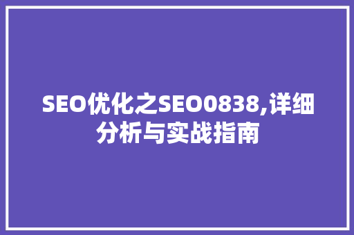 SEO优化之SEO0838,详细分析与实战指南 网站建设公司