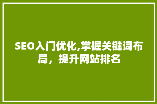 SEO入门优化,掌握关键词布局，提升网站排名