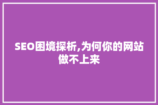 SEO困境探析,为何你的网站做不上来 搜狗SEO