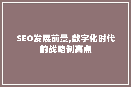 SEO发展前景,数字化时代的战略制高点 SEO关键词