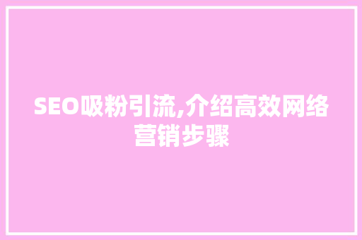 SEO吸粉引流,介绍高效网络营销步骤 网站建设公司