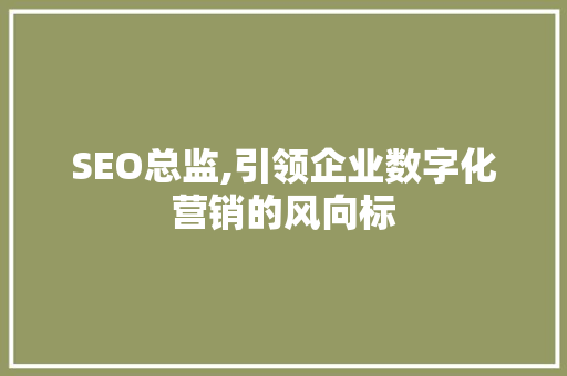 SEO总监,引领企业数字化营销的风向标 必应SEO