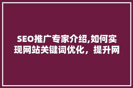 SEO推广专家介绍,如何实现网站关键词优化，提升网站流量与排名 搜狗SEO