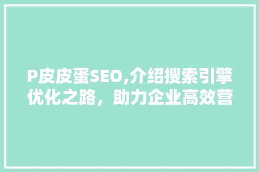 P皮皮蛋SEO,介绍搜索引擎优化之路，助力企业高效营销 SEO关键词