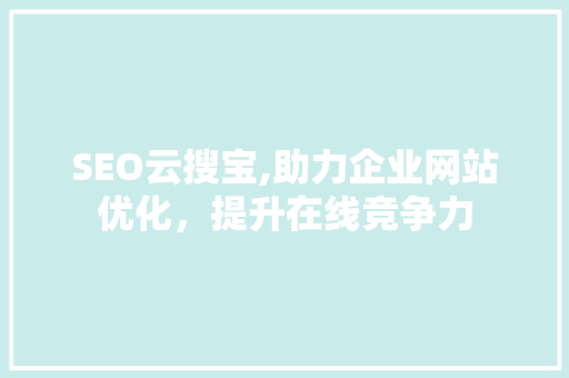 SEO云搜宝,助力企业网站优化，提升在线竞争力