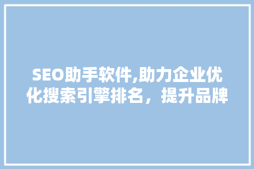 SEO助手软件,助力企业优化搜索引擎排名，提升品牌知名度 网站建设公司