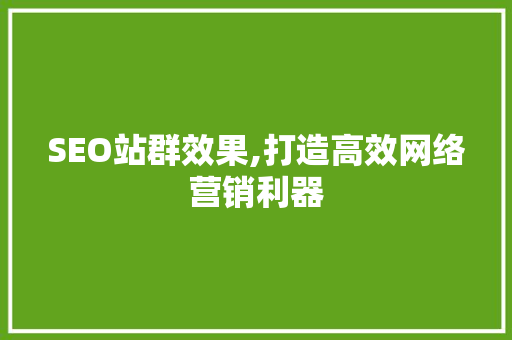 SEO站群效果,打造高效网络营销利器 网站建设公司