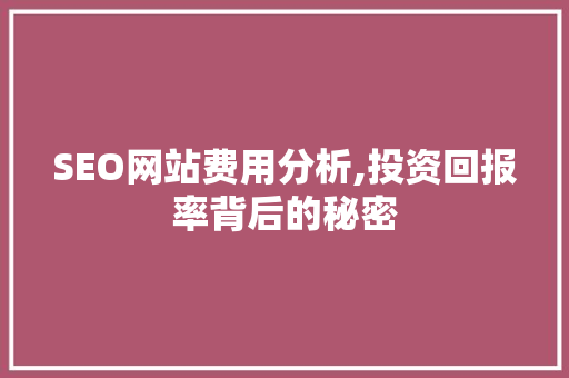 SEO网站费用分析,投资回报率背后的秘密 必应SEO