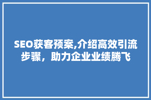 SEO获客预案,介绍高效引流步骤，助力企业业绩腾飞 网站建设公司