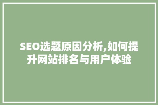 SEO选题原因分析,如何提升网站排名与用户体验 SEO关键词