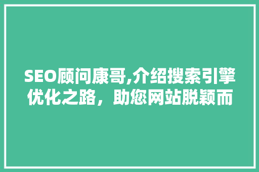 SEO顾问康哥,介绍搜索引擎优化之路，助您网站脱颖而出 神马SEO