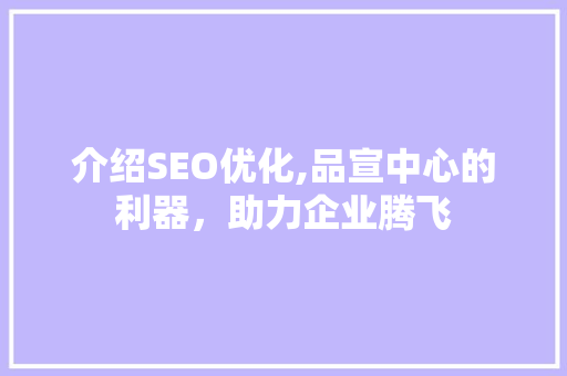介绍SEO优化,品宣中心的利器，助力企业腾飞 神马SEO
