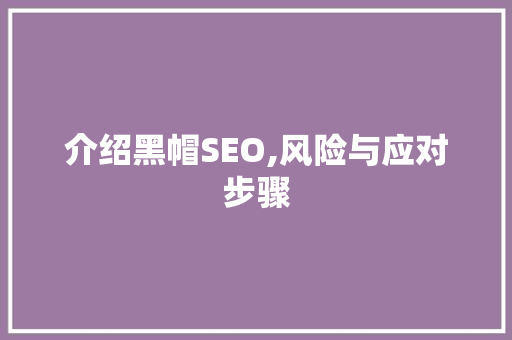 介绍黑帽SEO,风险与应对步骤 SEO关键词