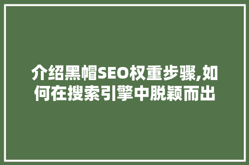 介绍黑帽SEO权重步骤,如何在搜索引擎中脱颖而出