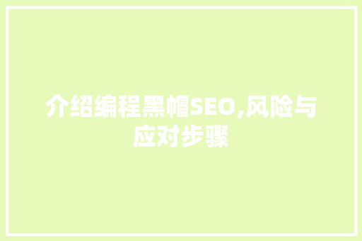 介绍编程黑帽SEO,风险与应对步骤 神马SEO