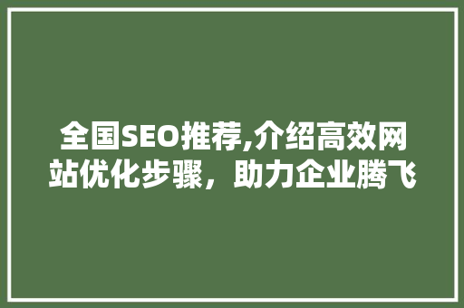 全国SEO推荐,介绍高效网站优化步骤，助力企业腾飞 神马SEO