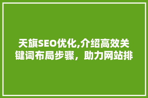 天旗SEO优化,介绍高效关键词布局步骤，助力网站排名提升