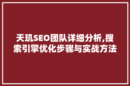 天玑SEO团队详细分析,搜索引擎优化步骤与实战方法