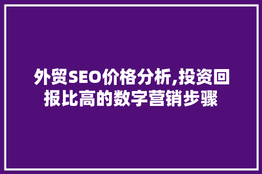 外贸SEO价格分析,投资回报比高的数字营销步骤