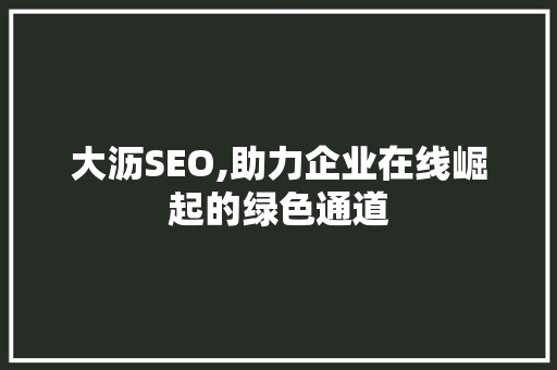 大沥SEO,助力企业在线崛起的绿色通道 网站建设公司