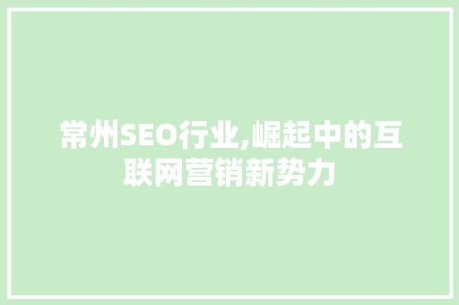 常州SEO行业,崛起中的互联网营销新势力