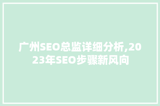 广州SEO总监详细分析,2023年SEO步骤新风向 SEO关键词