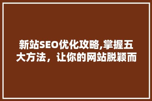 新站SEO优化攻略,掌握五大方法，让你的网站脱颖而出