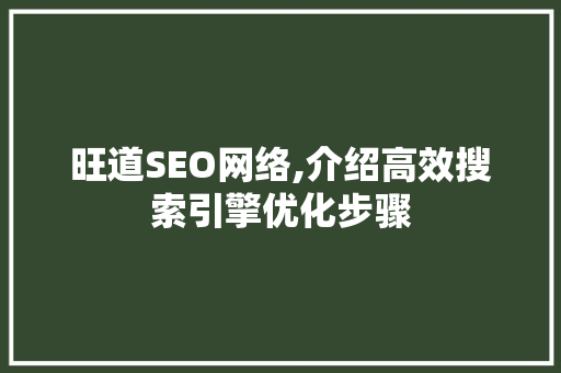 旺道SEO网络,介绍高效搜索引擎优化步骤 SEO关键词