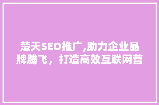 楚天SEO推广,助力企业品牌腾飞，打造高效互联网营销步骤