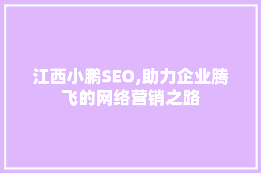 江西小鹏SEO,助力企业腾飞的网络营销之路 百度SEO