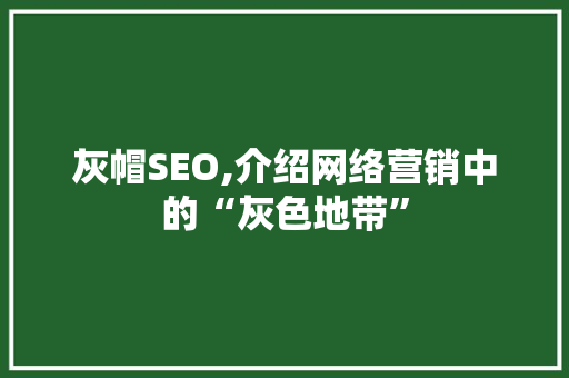 灰帽SEO,介绍网络营销中的“灰色地带” 网站建设公司
